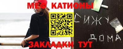 шишки Дубна