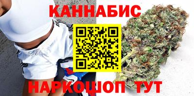 шишки Дубна