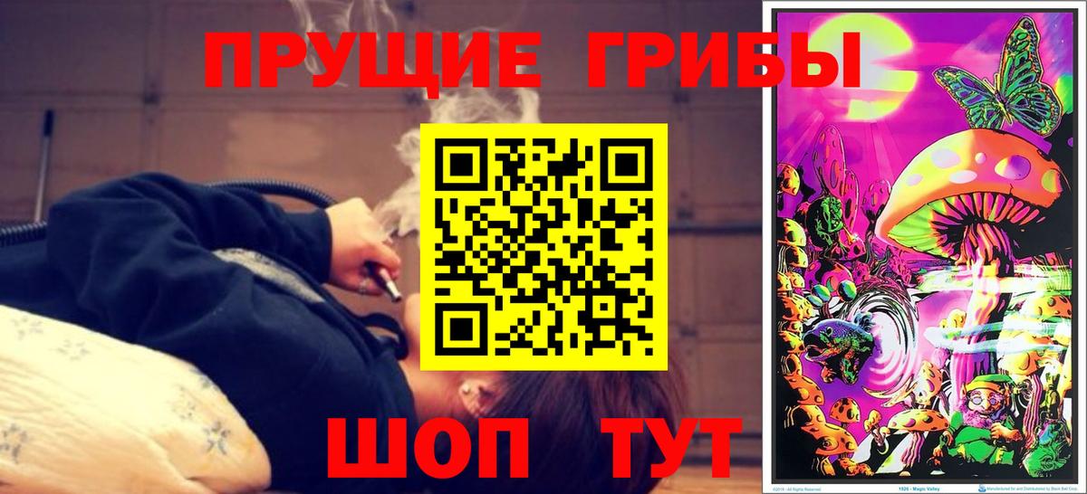 Галлюциногенные грибы ЛСД  Вход с VPN  Новотроицк 