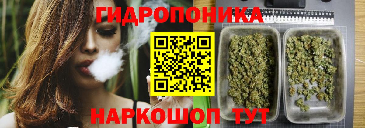 Конопля сатива  МАРИХУАНА конопля  Новотроицк  Вход с VPN  Каннабис планчик 