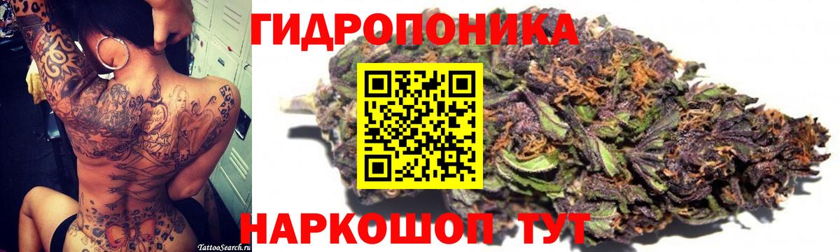 Марихуана гибрид Новотроицк